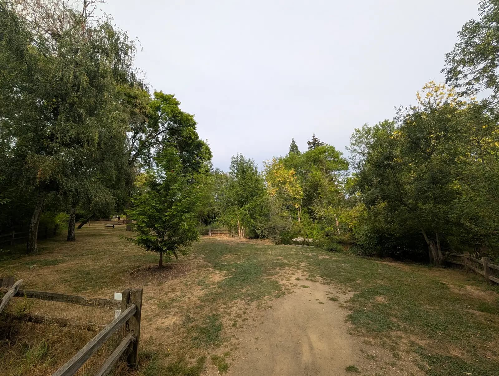 The clearing seen from its split-rail fence entrance, with a dirt path leading in and Johnson Creek visible through the trees on the right